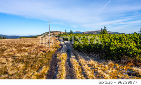 Narrow mountain tourist path marked with wooden poles. Cold and sunny autumn day in Hruby Jesenik Mountains with the highest mountain Praded on background, Czech Republic 96259977