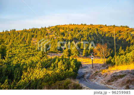 Narrow mountain tourist path marked with wooden poles. Cold and sunny autumn day in Hruby Jesenik Mountains, Czech Republic 96259985