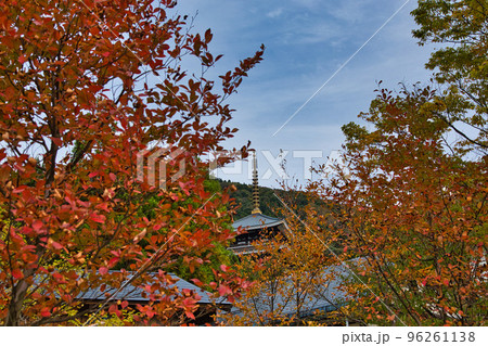 紅葉ー勝山城博物館・勝山大仏 96261138