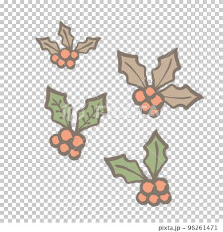 Fir tree fruit illustration set Fir tree fruit illustration set 96261471