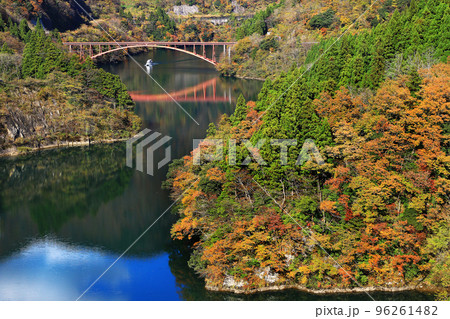 富山県南砺市庄川峡紅葉風景 96261482