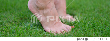 Bare female feet standing on green grass on tiptoe closeup 96261484