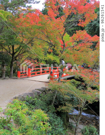 紅葉谷公園 紅葉谷公園 96261541