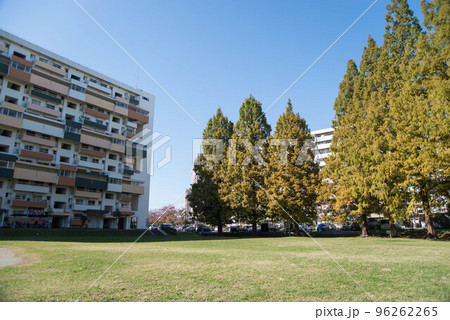 紅葉の穴場 UR三郷団地 URで2番目に大きなマンモス団地 紅葉の穴場 UR三郷団地 URで2番目に大きなマンモス団地 96262265