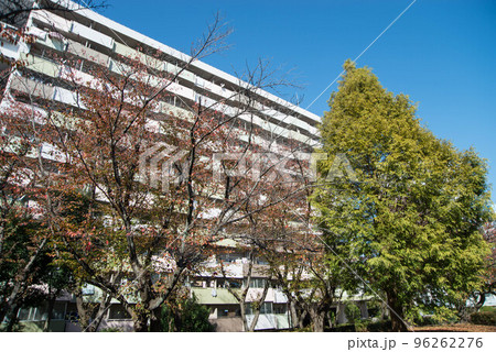 紅葉の穴場 UR三郷団地 URで2番目に大きなマンモス団地 紅葉の穴場 UR三郷団地 URで2番目に大きなマンモス団地 96262276