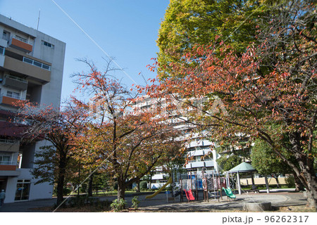 紅葉の穴場　UR三郷団地　URで2番目に大きなマンモス団地 96262317