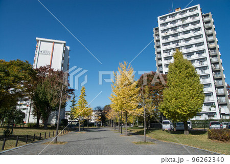 紅葉の穴場　UR三郷団地　URで2番目に大きなマンモス団地 96262340