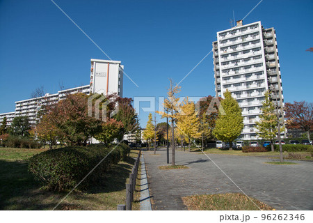 紅葉の穴場　UR三郷団地　URで2番目に大きなマンモス団地 96262346