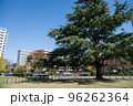 紅葉の穴場　UR三郷団地　URで2番目に大きなマンモス団地 96262364