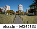 紅葉の穴場　UR三郷団地　URで2番目に大きなマンモス団地 96262368