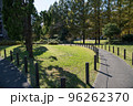 紅葉の穴場　UR三郷団地　URで2番目に大きなマンモス団地 96262370