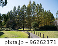 紅葉の穴場　UR三郷団地　URで2番目に大きなマンモス団地 96262371