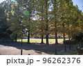 紅葉の穴場　UR三郷団地　URで2番目に大きなマンモス団地 96262376