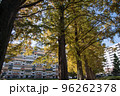 紅葉の穴場　UR三郷団地　URで2番目に大きなマンモス団地 96262378
