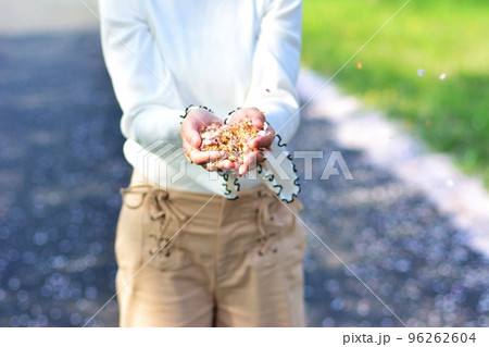 桜を手に掬う女性 桜を手に掬う女性 96262604