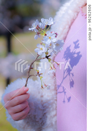 桜の花を手に持つ女性 桜の花を手に持つ女性 96262606