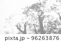 Abstract leaves natural shadow overlay on white texture background, for overlay on product presentation, backdrop and mockup 96263876