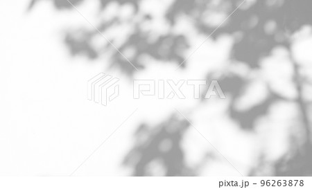 Abstract leaves natural shadow overlay on white texture background, for overlay on product presentation, backdrop and mockup Abstract leaves natural shadow overlay on white texture background, for overlay on product presentation, backdrop and mockup 96263878