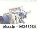 Santa's reindeer with strong snowfall run. 96263980
