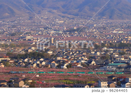 甲府盆地の桃源郷を行くEH200牽引の貨物列車_2022/4/9撮影 甲府盆地の桃源郷を行くEH200牽引の貨物列車_2022/4/9撮影 96264405