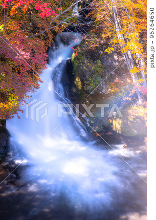 《栃木県》秋の竜頭の滝・紅葉最盛期 《栃木県》秋の竜頭の滝・紅葉最盛期 96264650