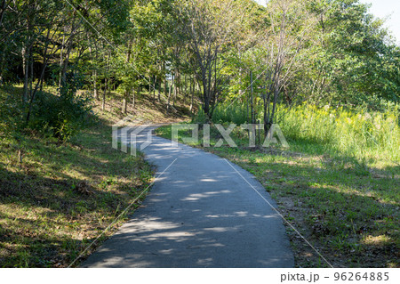 カーブする山道 96264885