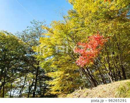 秋の景色 奥多摩大菩薩嶺に向かう上日川の美しい紅葉 秋の景色 奥多摩大菩薩嶺に向かう上日川の美しい紅葉 96265291