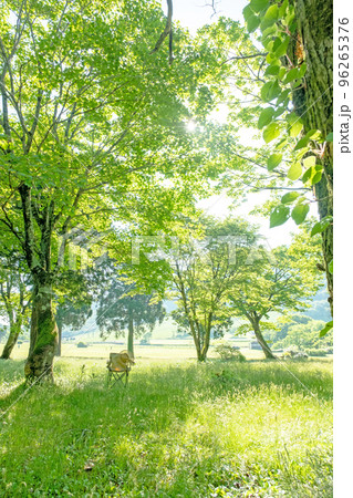 新緑の公園 木陰と椅子(大山鏡ヶ成) 新緑の公園 木陰と椅子(大山鏡ヶ成) 96265376