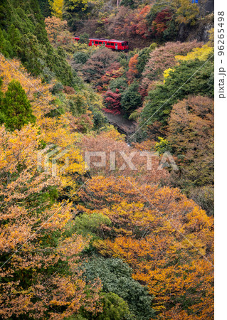 紅葉に染まる渓谷を行く赤い列車〜JR九州キハ200 紅葉に染まる渓谷を行く赤い列車〜JR九州キハ200 96265498