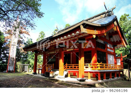 日本一の大わらじが奉納される… 県都・福島市の御社『羽黒神社』 日本一の大わらじが奉納される… 県都・福島市の御社『羽黒神社』 96266196
