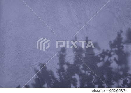 Shadow of flowers on purple concrete wall texture background 96266374
