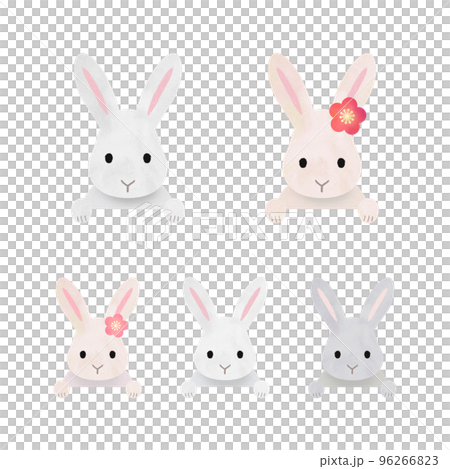 Rabbit parent and child illustration material 96266823