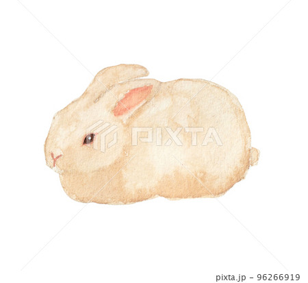 水彩絵の具で描いたうさぎのイラスト素材 [96266919] - PIXTA
