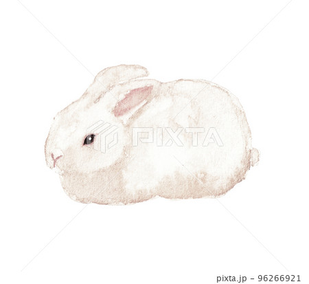 水彩絵の具で描いたうさぎ 水彩絵の具で描いたうさぎ 96266921