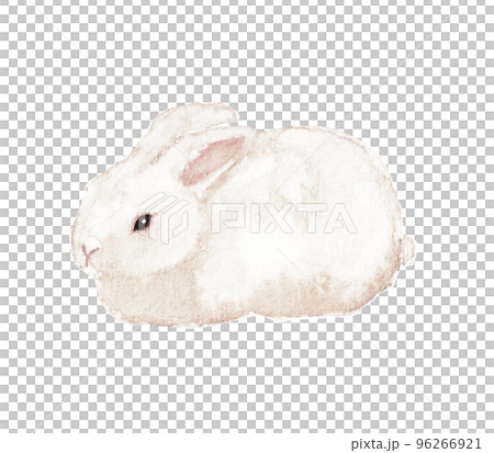 水彩絵の具で描いたうさぎ 水彩絵の具で描いたうさぎ 96266921