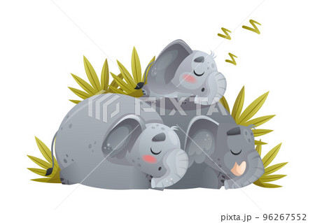 Elephant Family with Parent and Sweet Baby Sleeping Together Vector Illustration 96267552