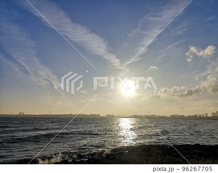 葛西臨海公園から見える東京湾の風景 96267705