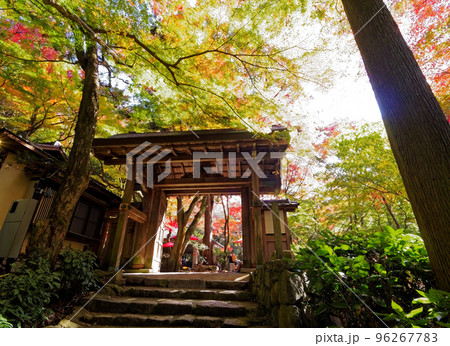 有馬温泉 旧瑞宝寺山門 (瑞宝寺公園) 96267783