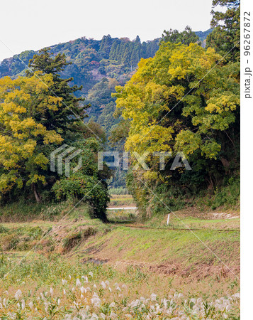 千葉上総の小湊鉄道上総大久保駅周辺の秋模様 96267872
