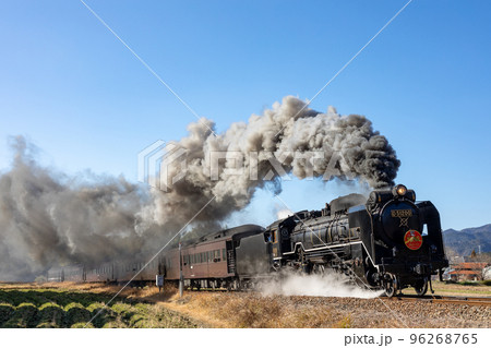 青空を背景に走る蒸気機関車〜D51牽引の「SL津和野稲成」 青空を背景に走る蒸気機関車〜D51牽引の「SL津和野稲成」 96268765