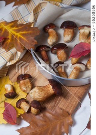 Several Imleria Badia or Boletus badius mushrooms commonly known as the bay bolete, vintage baking sheet with mushrooms on wooden cutting board.. Several Imleria Badia or Boletus badius mushrooms commonly known as the bay bolete, vintage baking sheet with mushrooms on wooden cutting board.. 96268966