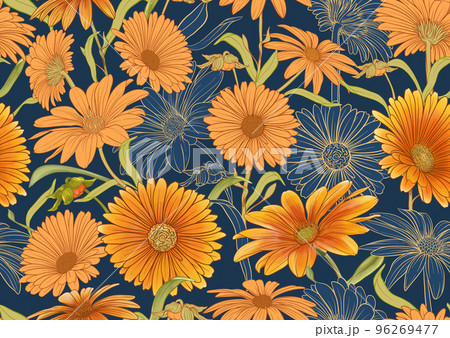 Calendula medicinal herbs and flowers. 96269477