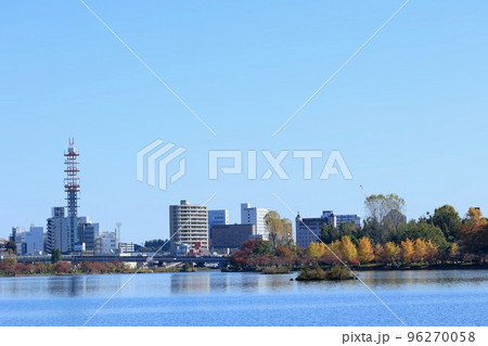 秋の千波湖　茨城県水戸市 96270058
