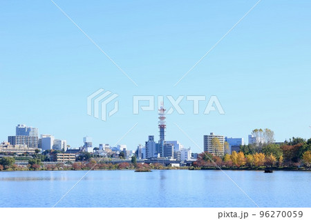 秋の千波湖 茨城県水戸市 秋の千波湖 茨城県水戸市 96270059