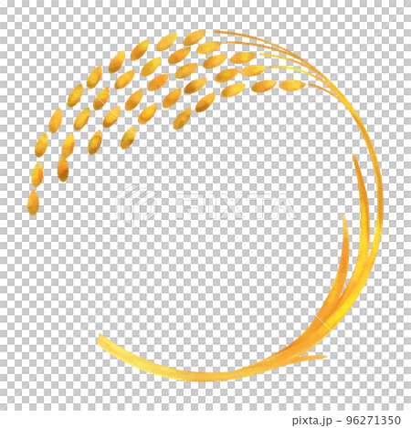 Ear of rice hand drawn watercolor illustration 96271350