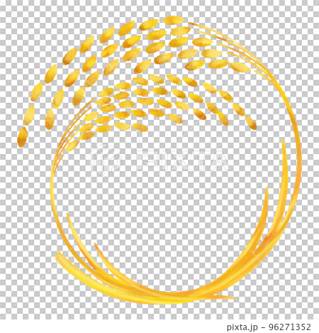 Ear of rice hand drawn watercolor illustration Ear of rice hand drawn watercolor illustration 96271352