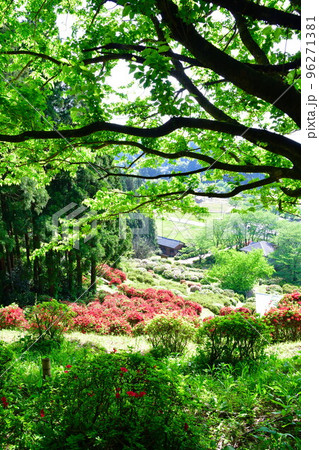 さつき山公園(新潟県) さつき山公園(新潟県) 96271381