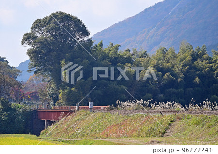 山口線　長門峡ー渡川　JR西日本　DD51-1043＋35系4000番台　DLやまぐち号 96272241