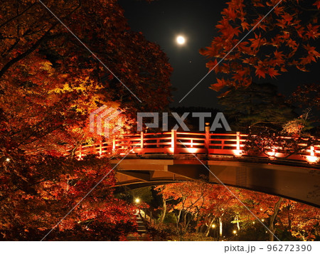 新潟・弥彦公園 ライトアップされたもみじ谷の夜景 新潟・弥彦公園 ライトアップされたもみじ谷の夜景 96272390