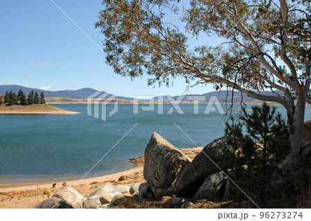 Jindabyne, New South Wales, Australia: View over Lake Jindabyne with a tree and rocks in the foreground. Jindabyne is a tourist destination near the Snowy Mountains. 96273274